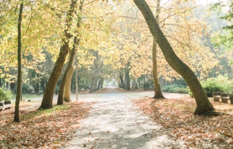 Helikon park Keszthely Helikon park Keszthely